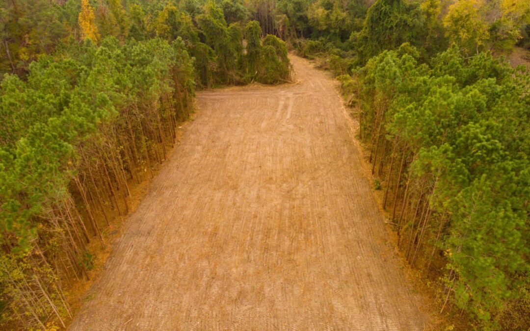 Give Me Land, Lots of Land and the Starry Skies Above