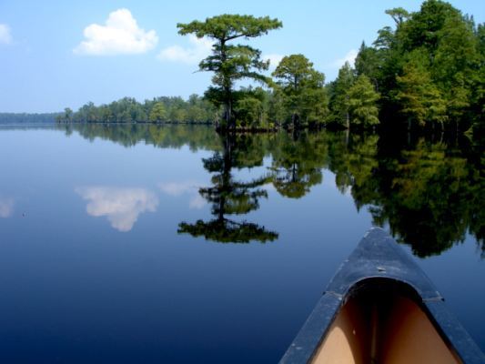 What we Love about Suffolk