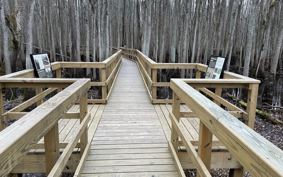 Blackwater Park in Franklin, VA