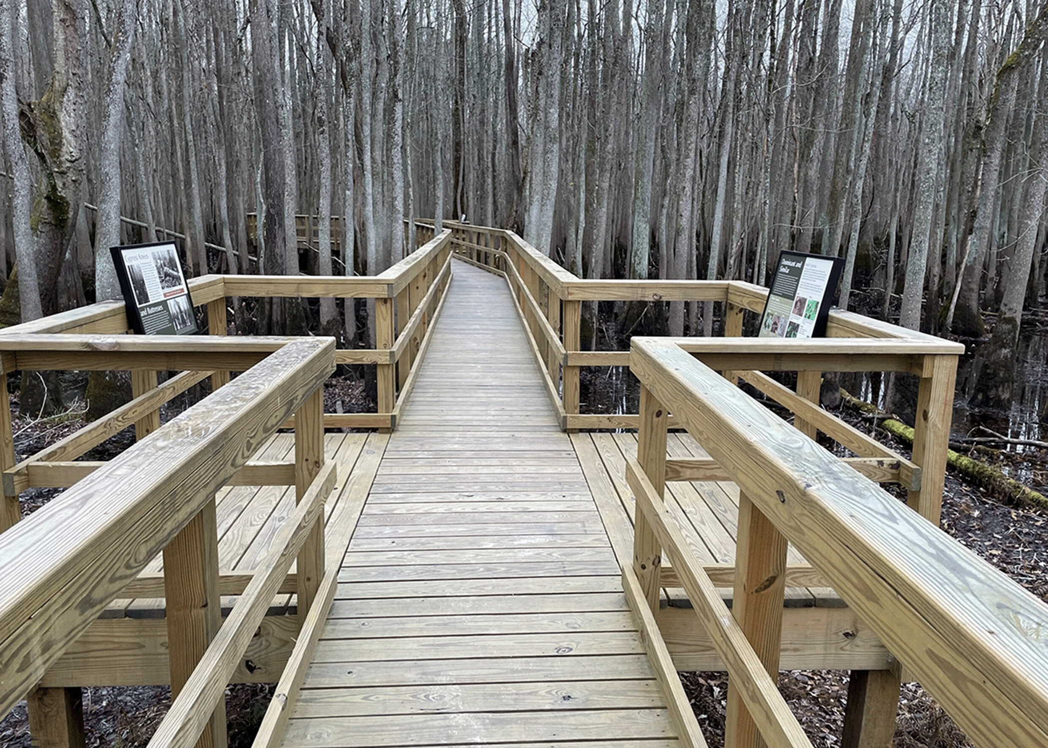 Dan Lawson - 9187CT (1) windsor va new construction builder