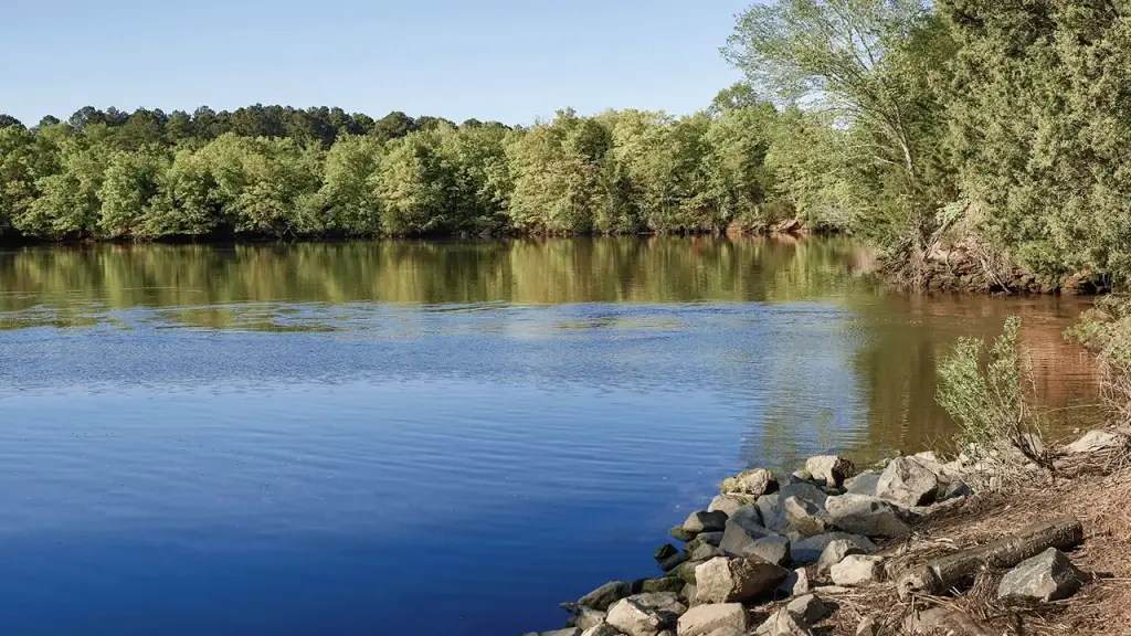 Things You Should Know Before Moving to Suffolk VA Park