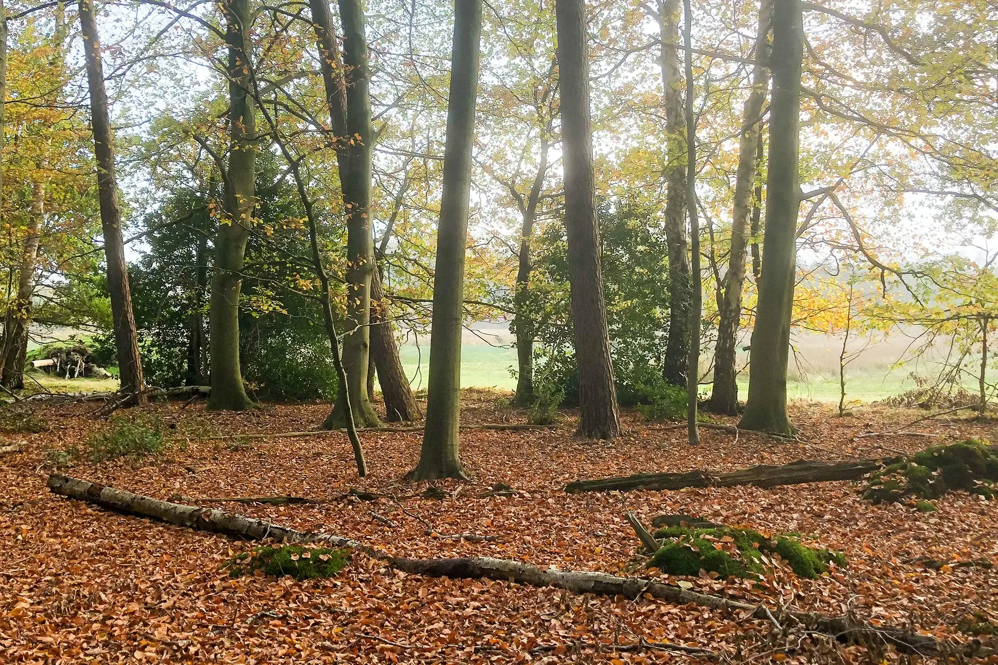 residential lot buyers - suffolk