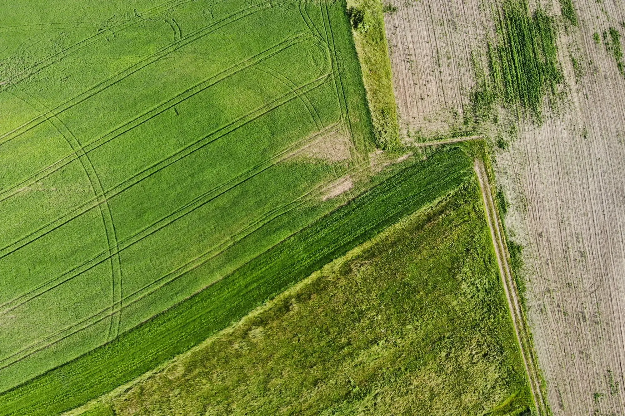 farm buyers isle of wight 