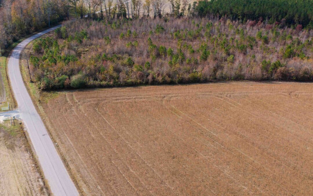 Build on Your Lot in Suffolk, VA: What Most Buyers Don’t Realize